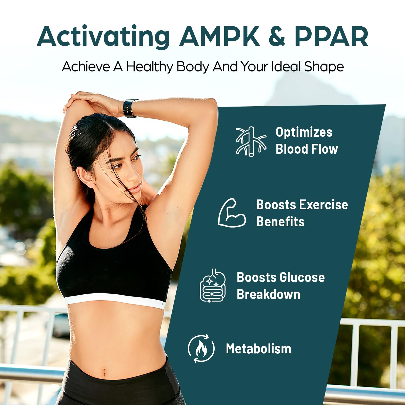 Corpofuerte liposomes absorption rapide: meilleure biodisponibilité pour le soutien nutritionnel.