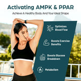 Corpofuerte liposomes absorption rapide: meilleure biodisponibilité pour le soutien nutritionnel.