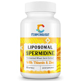 Gélules molles CORPORALIGHT Spermidine 30 mg, absorption optimisée pour le renouvellement cellulaire.