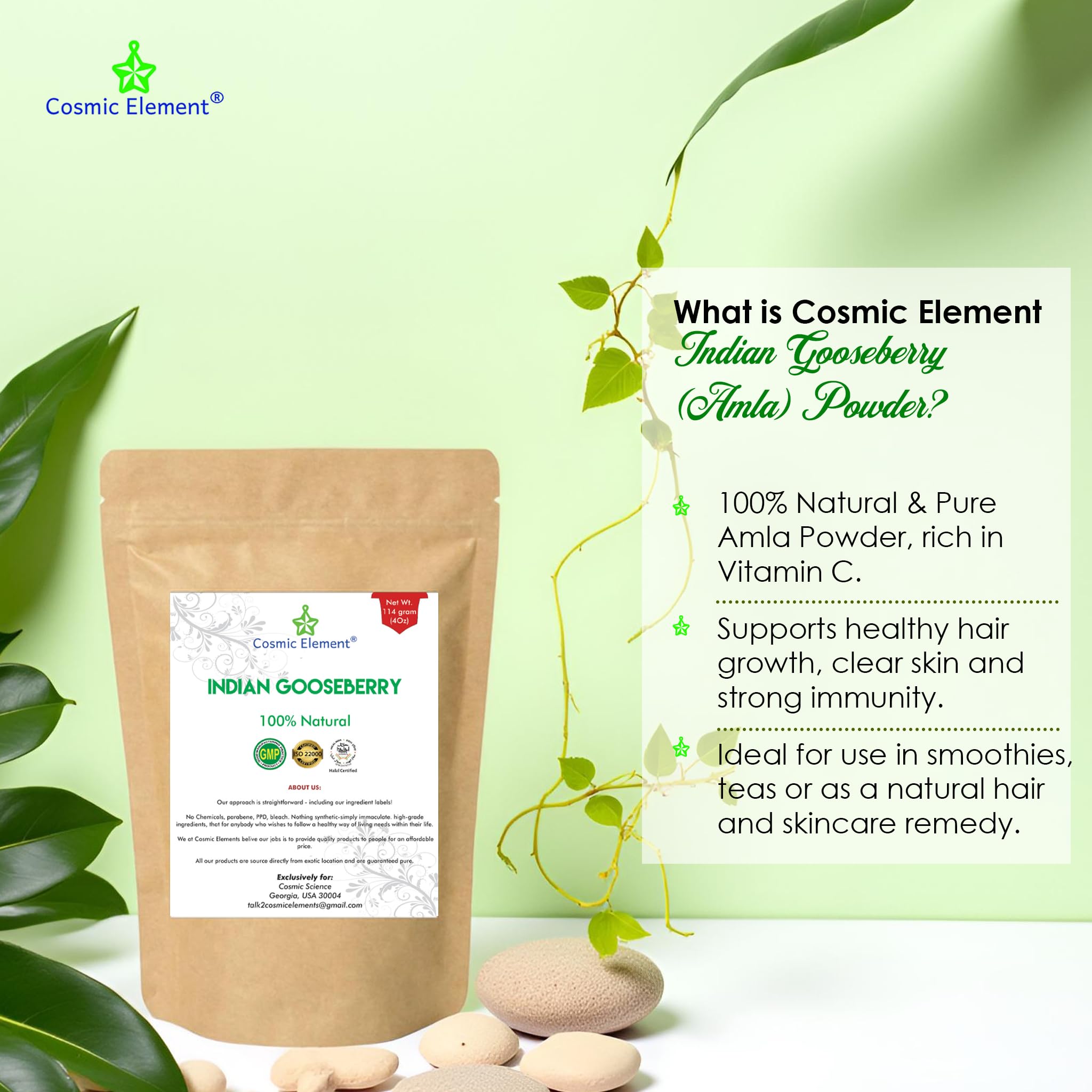 Cosmic Element Amla poudre cuillère dose idéale pour doser.