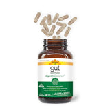 Country Life Gut Connection – prébiotique PreticX en poudre soutenant la flore