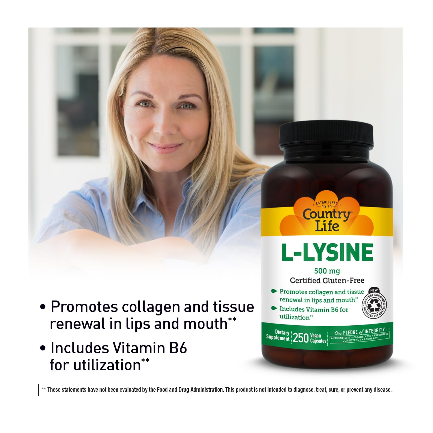 Capsules L-Lysine 500 mg avec B6 véganes et absorption améliorée