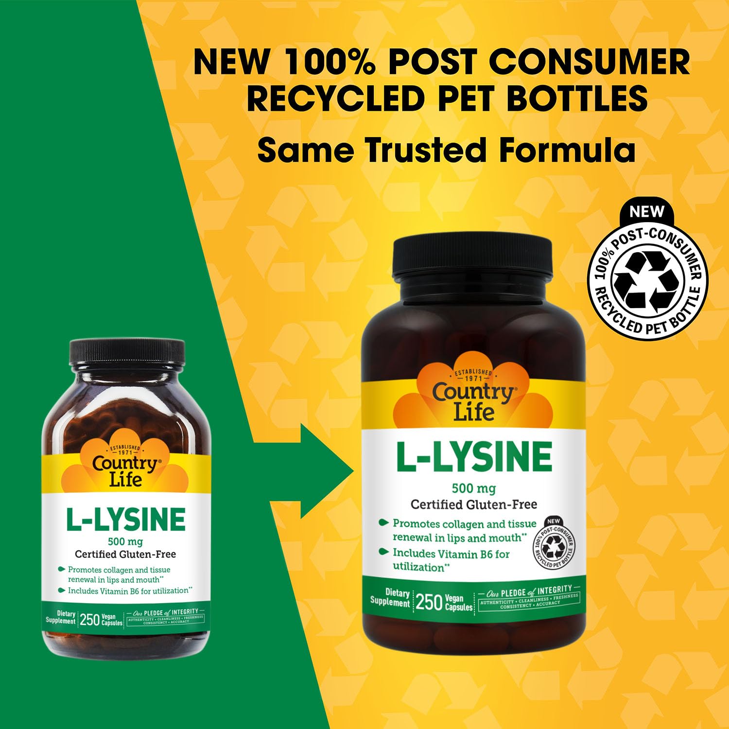 Capsules véganes Country Life L-Lysine 500 mg pour un apport pratique