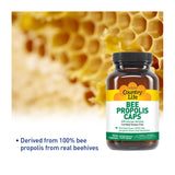 Gélules Country Life Propolis 500 mg, vue d ensemble prêt à l’emploi.