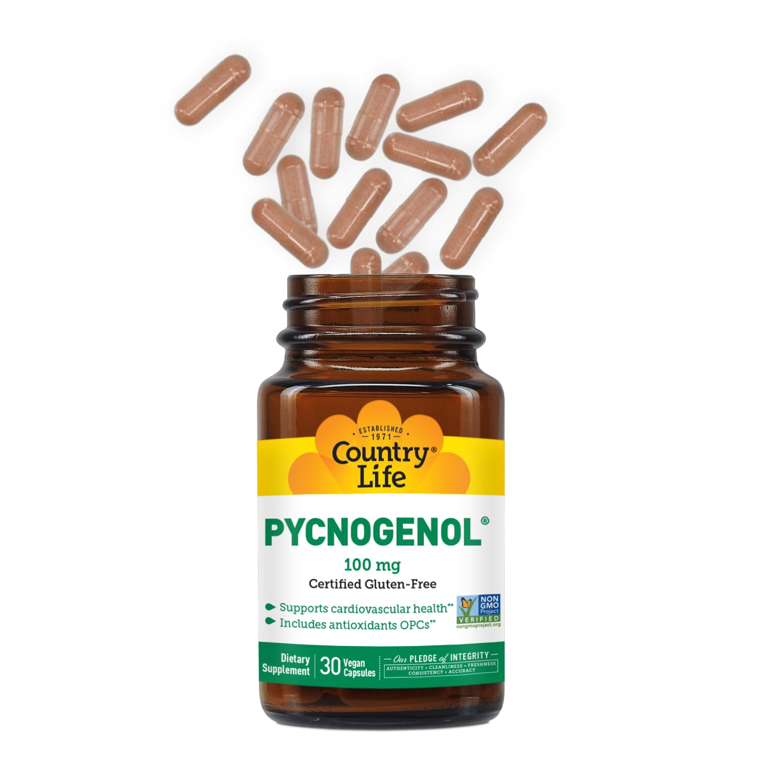 Country Life Pycnogenol tableau-dosage : guide clair pour prise régulière.