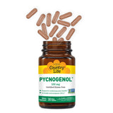Country Life Pycnogenol tableau-dosage : guide clair pour prise régulière.