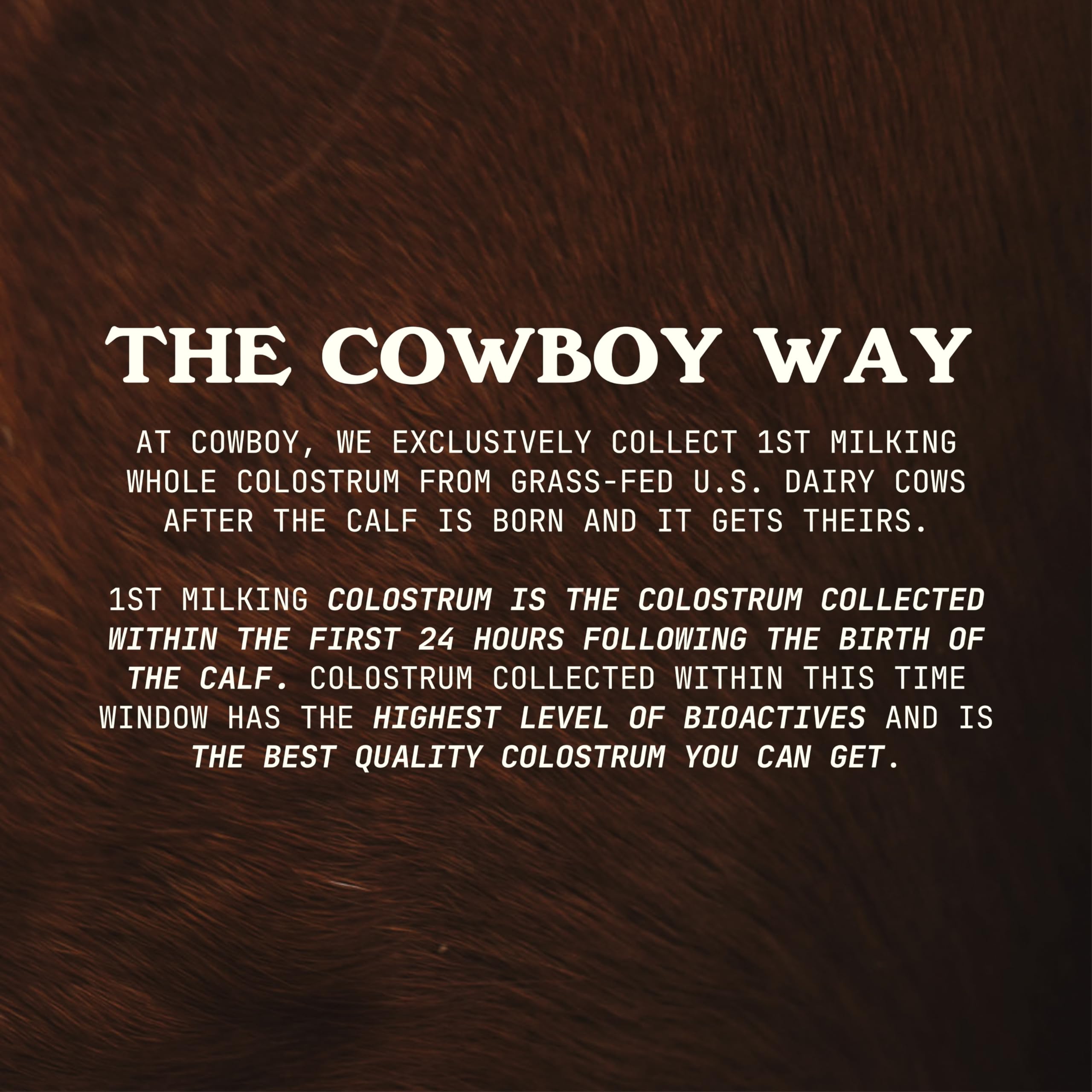 Cowboy Colostrum se dilue facilement dans eau, smoothie ou café.