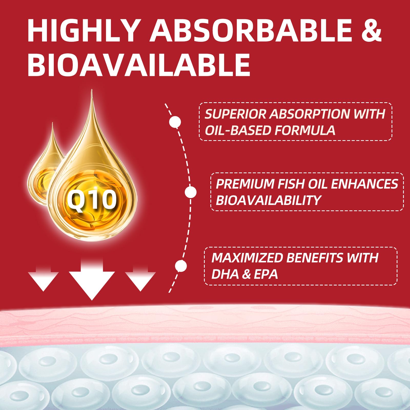 Ingrédients Omega-3 et PQQ illustrés pour biodisponibilité.