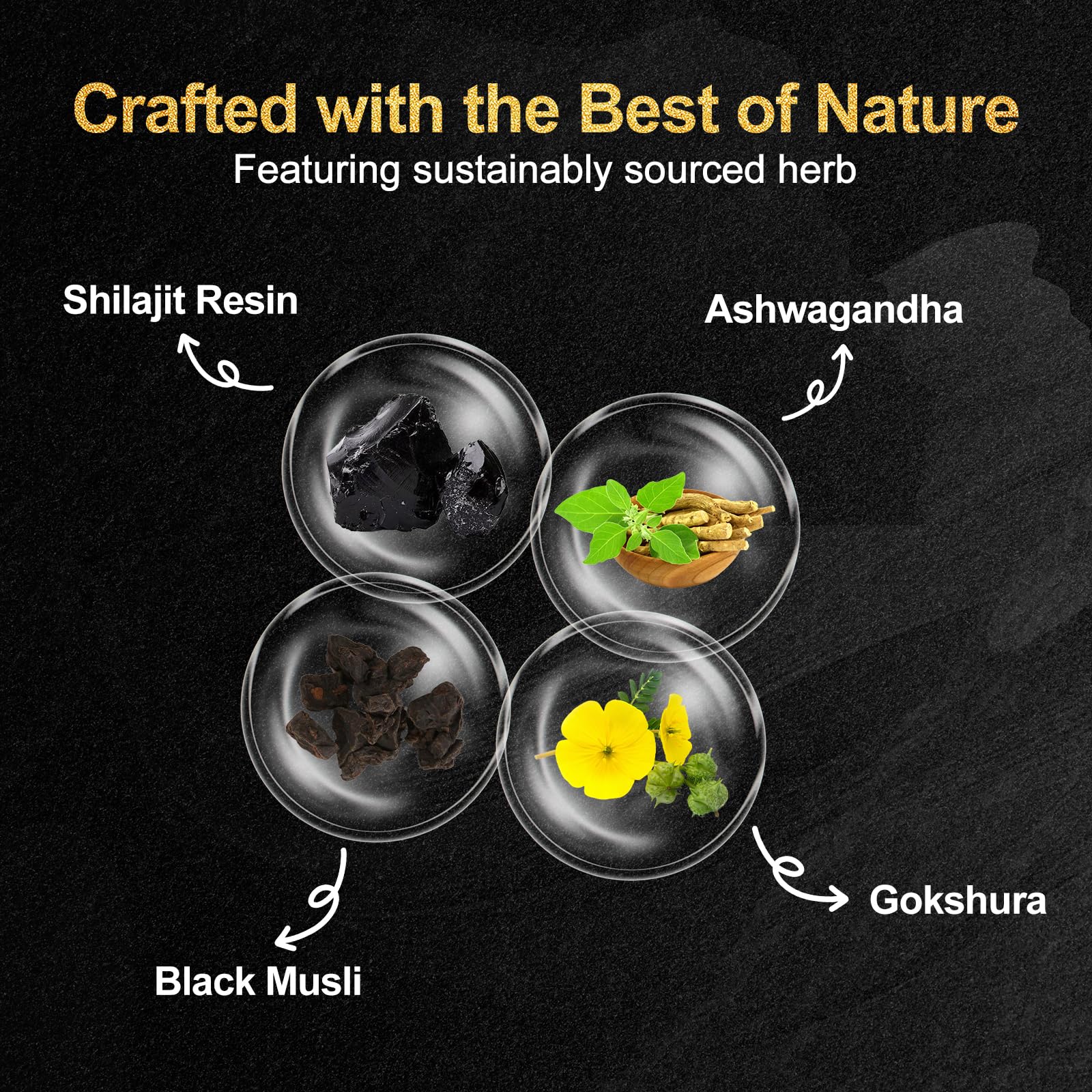 Craftmetal Shilajit Gommes avec Ashwagandha et Gingembre, soutien après effort.