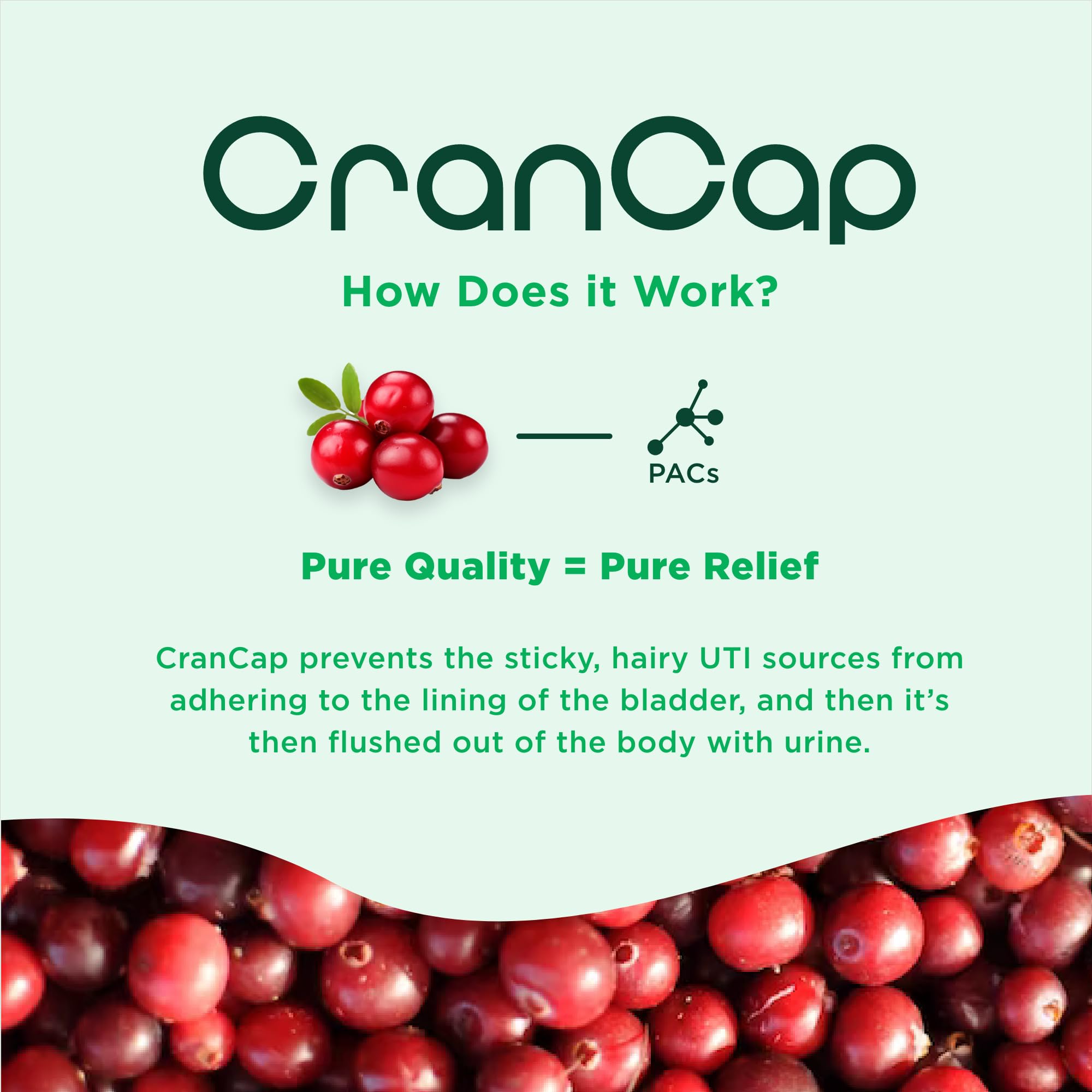 CranCap anti-adhesion urinaire : contribue possiblement à limiter les adhérences