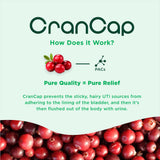 CranCap anti-adhesion urinaire : contribue possiblement à limiter les adhérences
