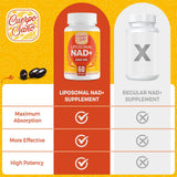 Illustration NAD+ Cuerpo Sano soutenant le métabolisme et la vitalité.
