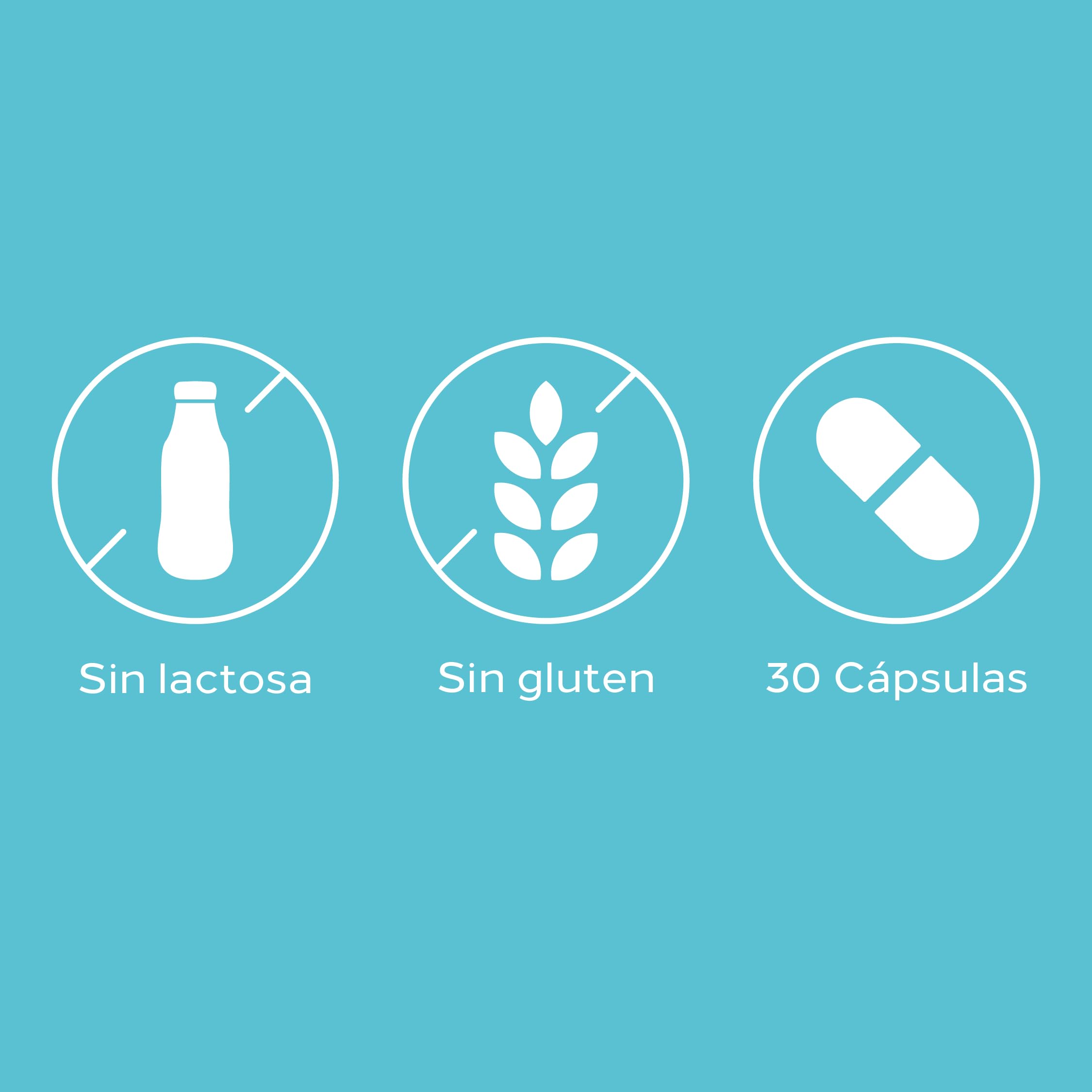 Cumlaude Drenaqua Capsules – probiotiques et prébiotiques visibles, soutien possible de la digestion.