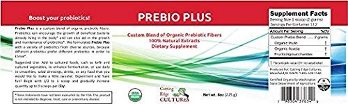 Cutting Edge Cultures Prebio Plus poudre prébiotique ajoutée dans smoothies