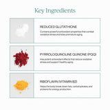 CYMBIOTIKA absorption liposomale améliorée, biodisponibilité accrue.