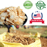 Boîte DABC OAK LAND contenant du ginseng Wisconsin, fraîcheur garantie.