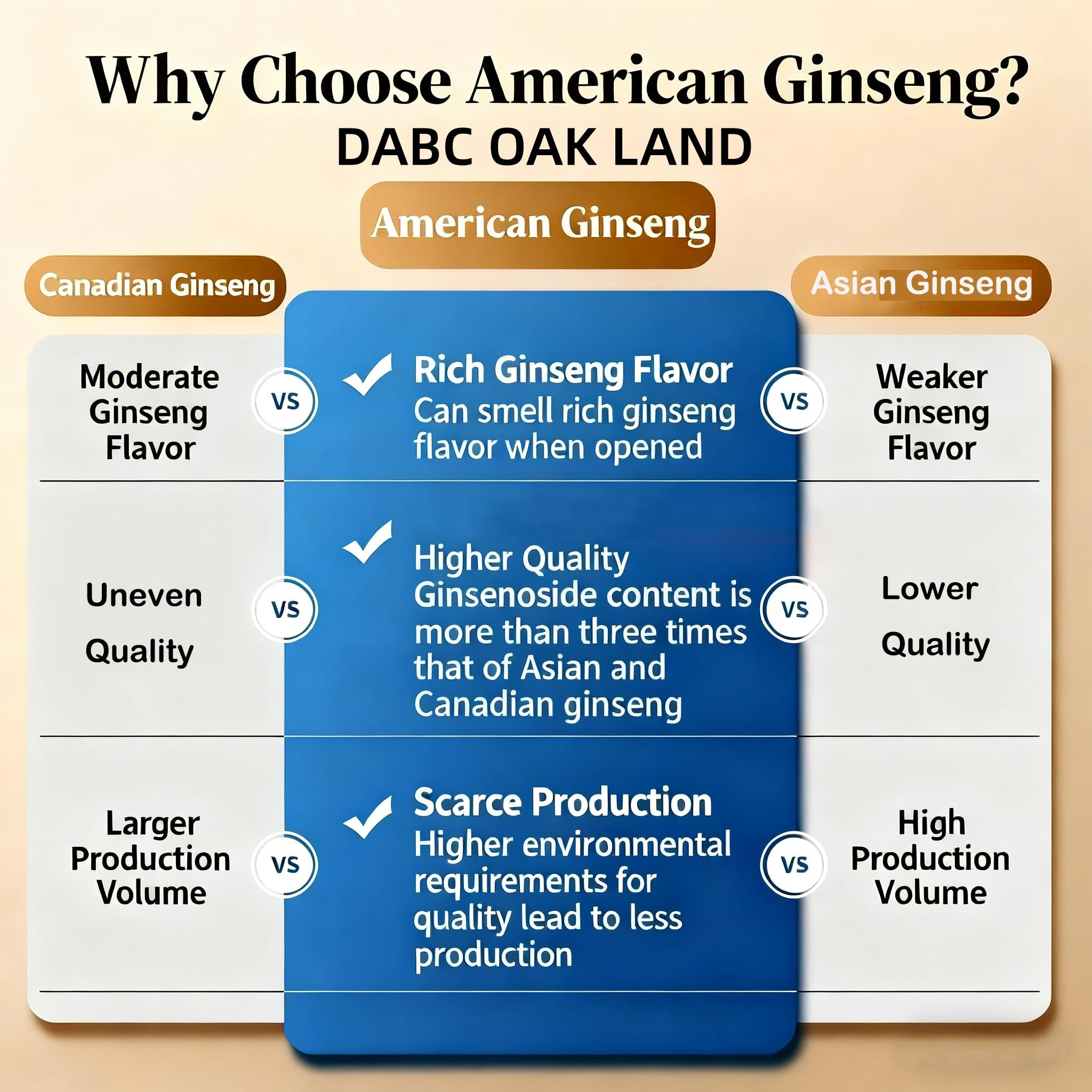 DABC OAK LAND ginseng Wisconsin – tranches prêtes pour infusion rapide.