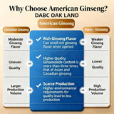 DABC OAK LAND ginseng Wisconsin – tranches prêtes pour infusion rapide.