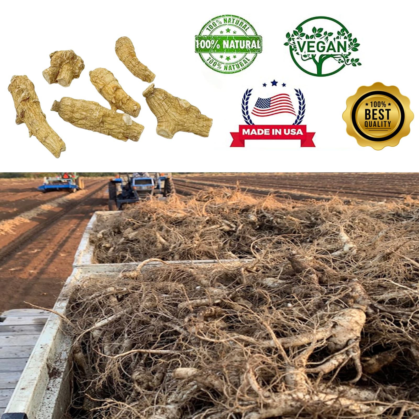 DABC OAK LAND ginseng Wisconsin – contrôle qualité pour sécurité et constance.