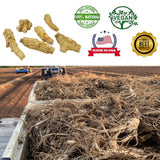 DABC OAK LAND ginseng Wisconsin – contrôle qualité pour sécurité et constance.