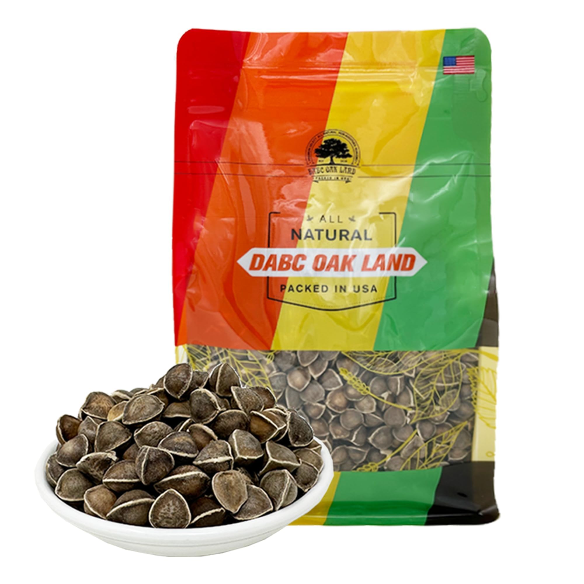 Graines moringa DABC OAK LAND dans l'emballage, prêtes à être plantées.