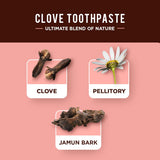 Dabur dentifrice lotus-bark, texture naturelle et parfum léger.