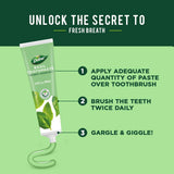 Dabur dentifrice à base de plantes basilic, rafraîchissement durable après chaque brossage.