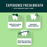Dabur dentifrice à base de plantes basilic, pâte homogène, parfum basilic frais.