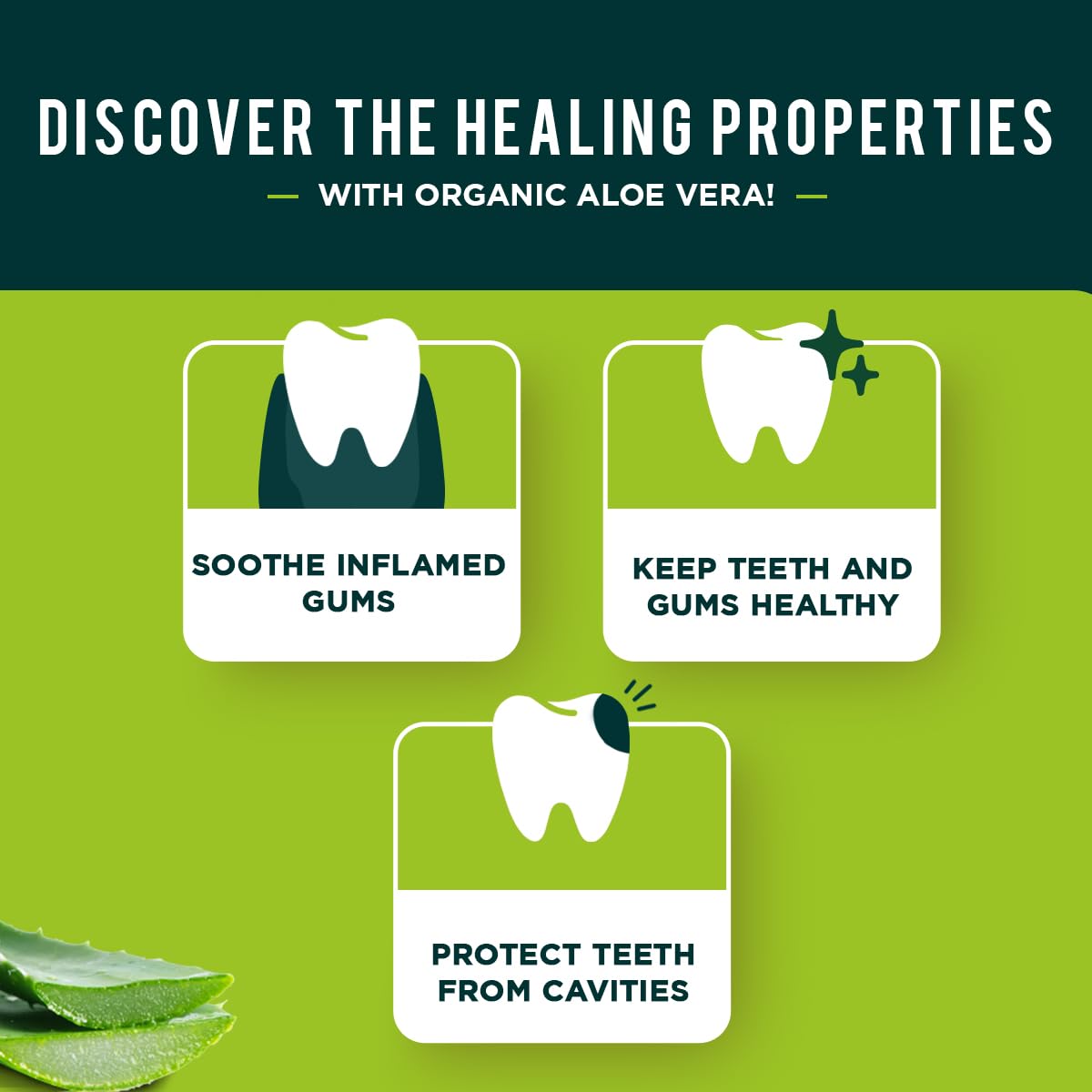 Ingrédients naturels Dabur Aloe Vera, extraits pour l'hygiène bucco-dentaire.