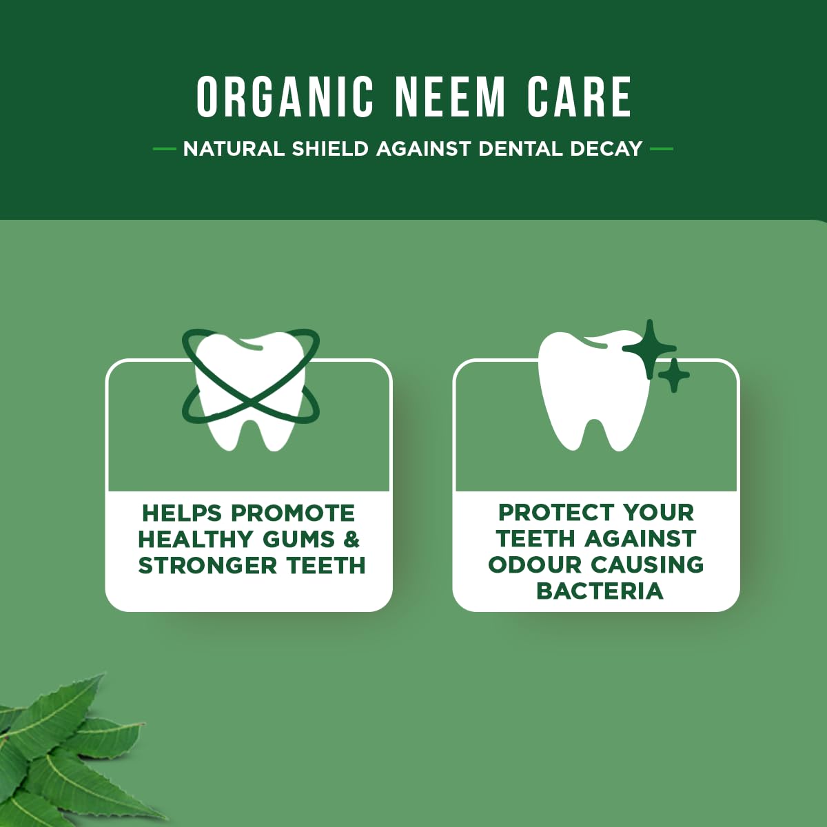 Dabur Dentifrice Herbal – ingrédients naturels visibles sur l'étiquette.