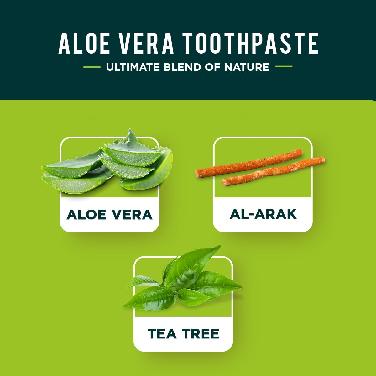 Texture crème légère du dentifrice Dabur, application facile sur la brosse.