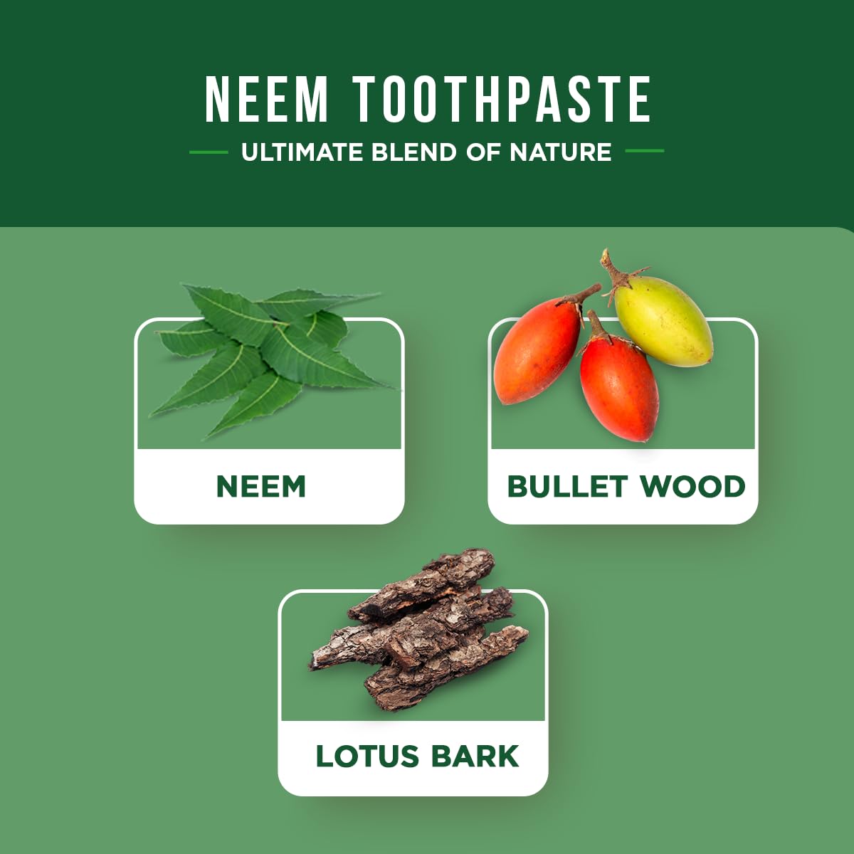 Dabur Dentifrice Herbal, texture crèmeuse idéale pour le brossage quotidien.