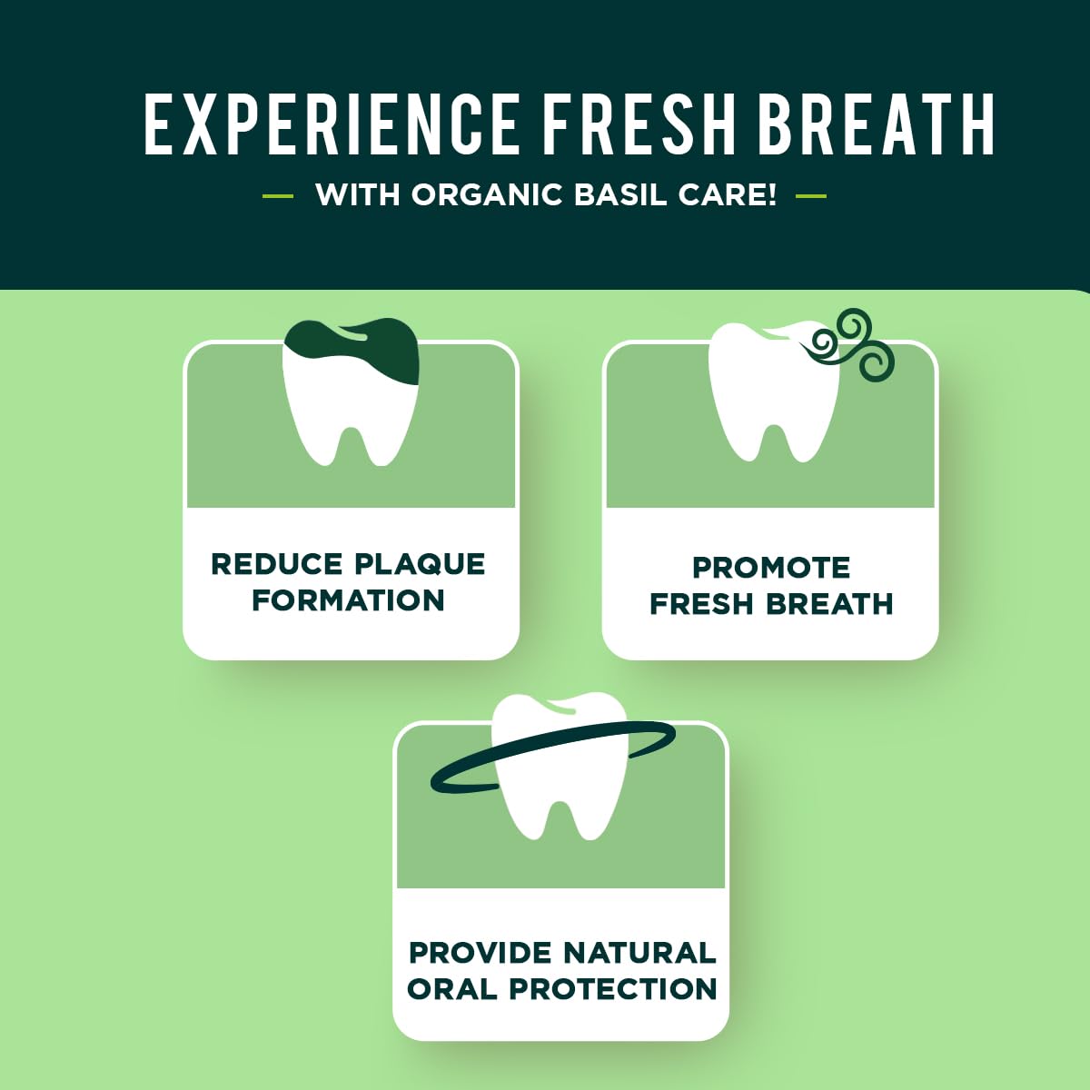 Dabur Dentifrice aux herbes Basilic – pâte crémeuse sur la brosse pour un nettoyage doux.