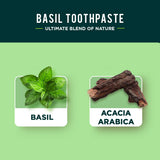 Dabur Dentifrice aux herbes Basilic – personne utilisant la brosse dans la salle de bains.