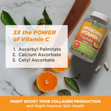 DACHA vitamine C avec phospholipide de tournesol, meilleure biodisponibilité.