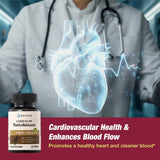 DAIKEN Nattokinase capsules sans odeur, faciles à avaler.