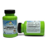 Bouteille Daily Manufacturing L-Salivarius blanche prête à l’emploi.