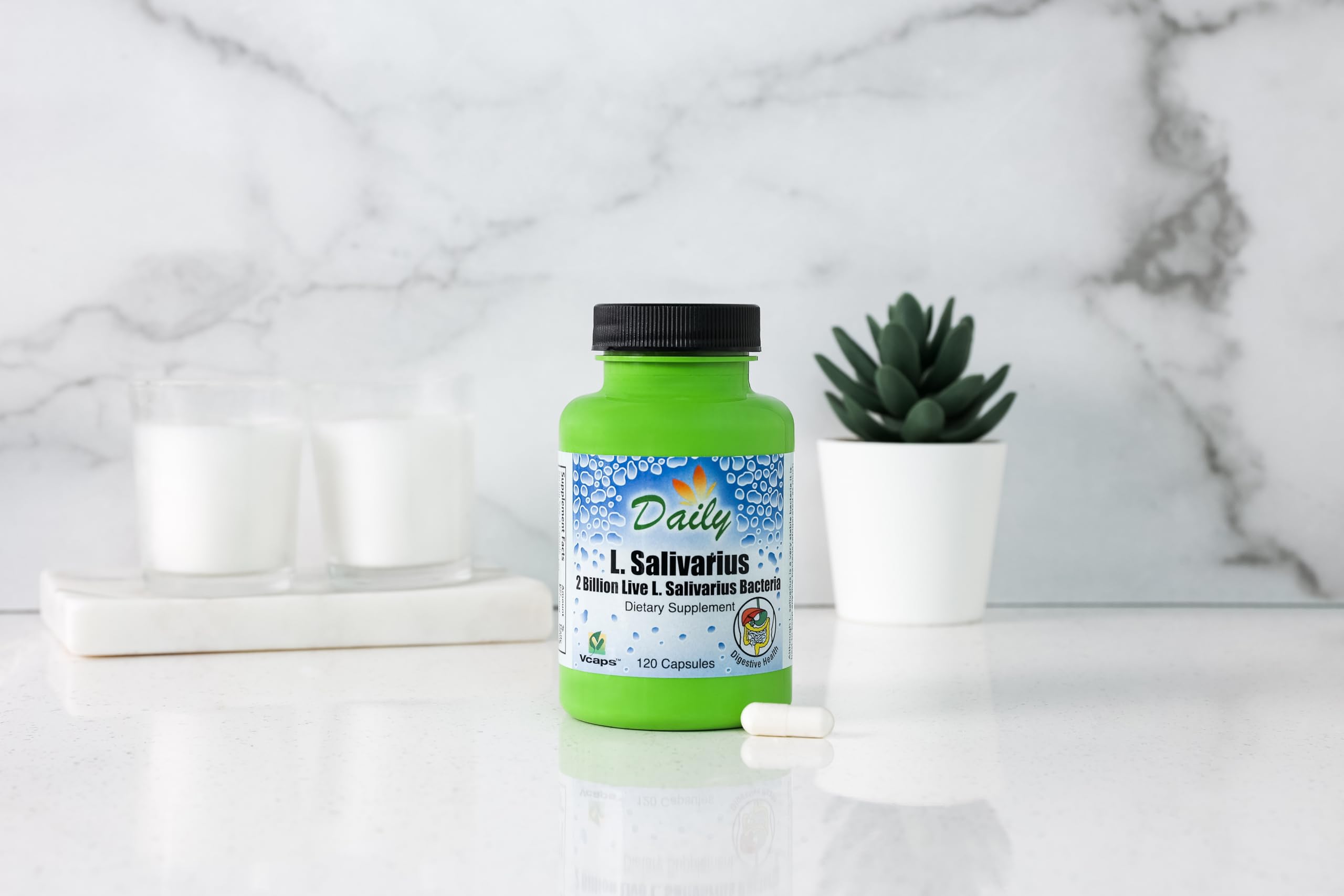 Capsules probiotique Daily Manufacturing avec détails visuels du produit.