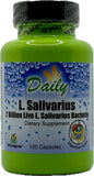 Daily Manufacturing L-Salivarius: bouteille à libération retardée prête pour votre routine bien-être.