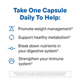 Daily Nouri Delivery Capsule Interne — livraison efficace dans l'intestin