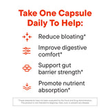 Daily Nouri formule valable pour 30 jours et routine bien-être.