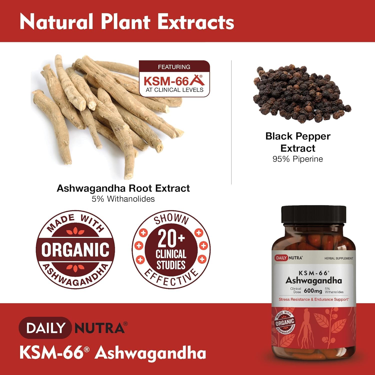 DailyNutra Ashwagandha avec Bioperine pour absorption améliorée.