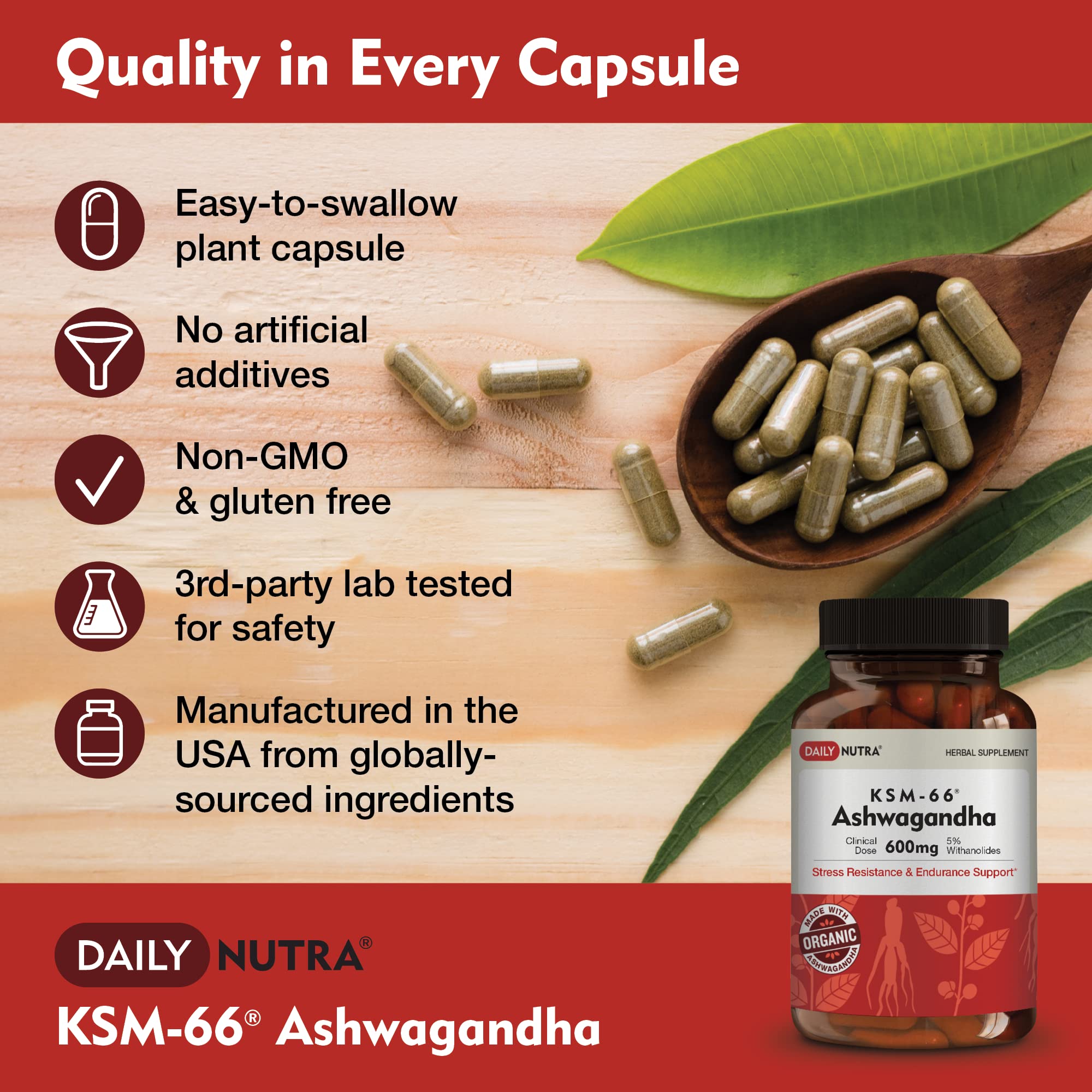Capsule DailyNutra KSM-66 600 mg, dosage quotidien pratique.