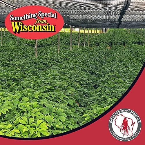 Poudre de ginseng Dairyland stimule l'énergie et l'immunité.