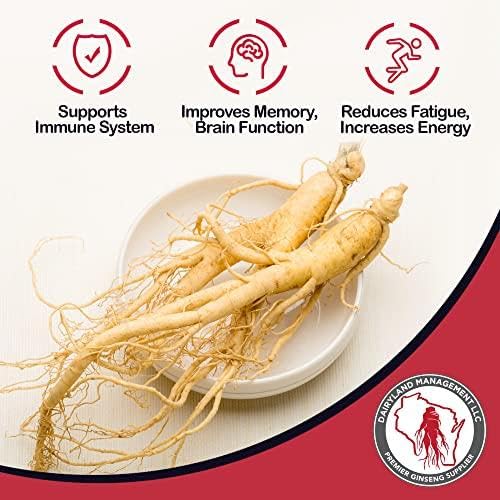 Ginseng sans OGM de Dairyland, poudre pure et naturelle.