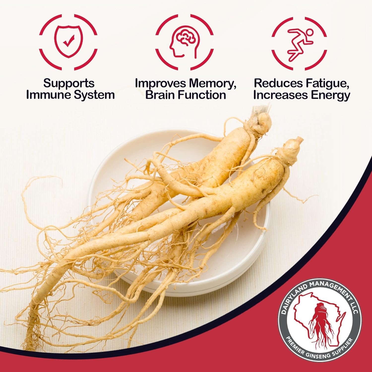Dairyland ginseng américain dans un smoothie, boost potentiel d’énergie.