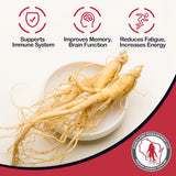 Dairyland ginseng américain dans un smoothie, boost potentiel d’énergie.