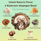 Poudre Daitea Champignons Mesure, dose pratique pour chaque préparation rapide.