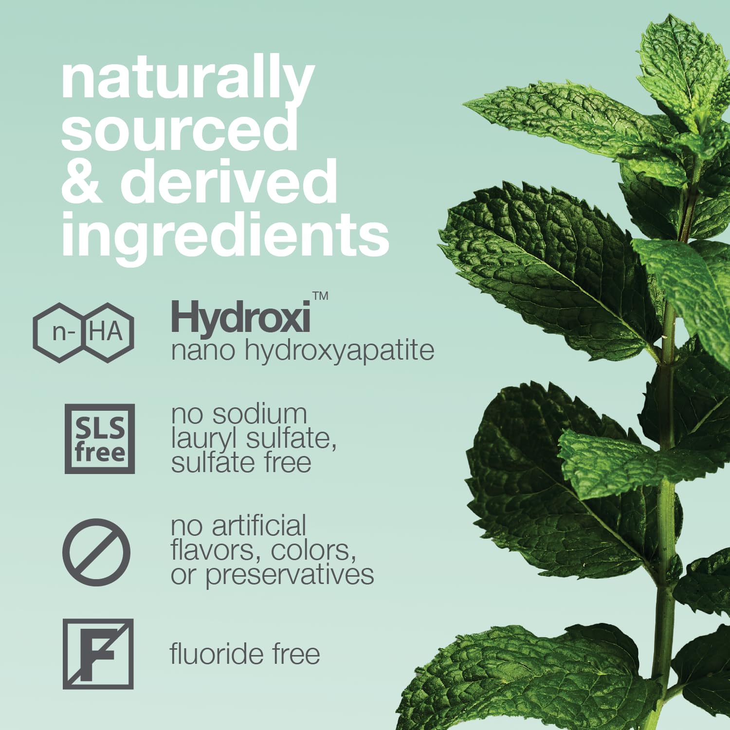Menthe fraîche Davids Hydroxi, sensation de fraîcheur après le brossage.
