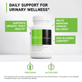 Bouteille DAVINCI avec étiquette indiquant la formulation cannelle concentrée